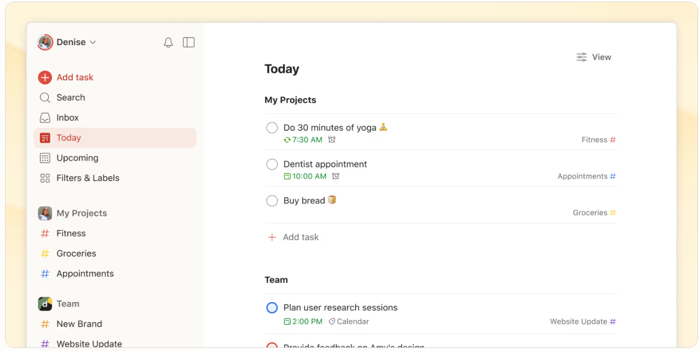 A snapshot of the Todoist app interface, displaying a list of daily personal tasks.