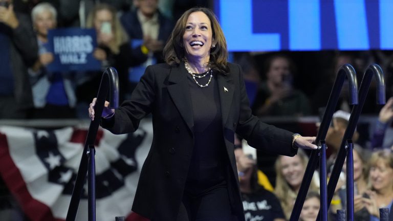 2024 election, Kamala Harris, Donald Trump, campaign rallies, Harris campaign, Trump campaign, Harris rallies, Trump rallies, rally-goers, theGrio.com