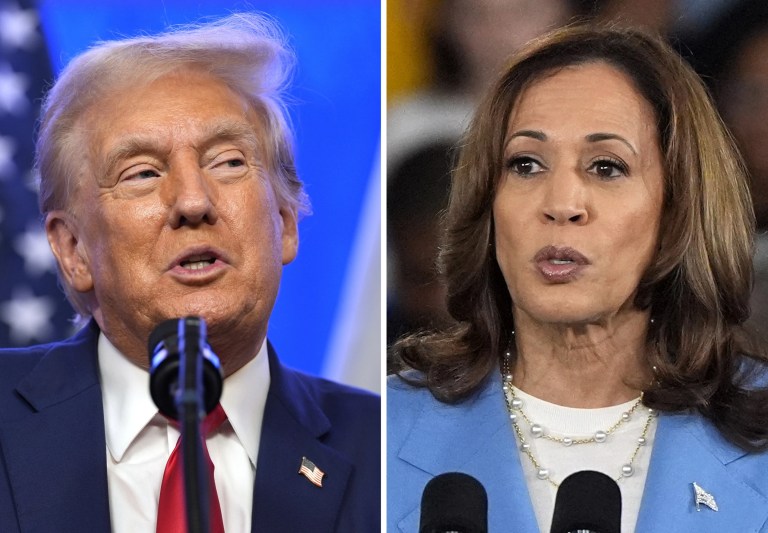 Donald Trump, Kamala Harris, Hurricane Helene, theGrio.com