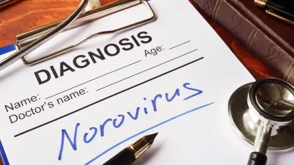 Nasty norovirus is back in full force with US cases of the stomach virus surging