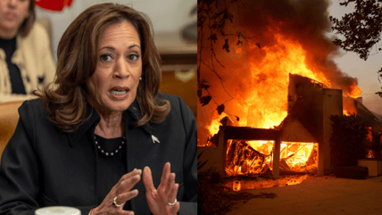 VP Harris mourns historically Black Altadena amid California fires, condemns insurance disparities and misinformation