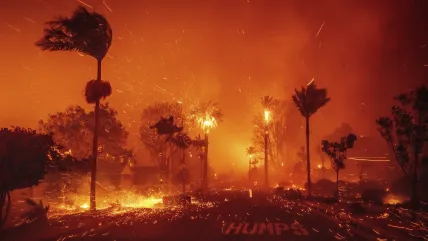 What’s spreading faster than LA’s wildfires? Misinformation.