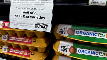 Why should America worry about Trump? Try the price of eggs, say some Democrats