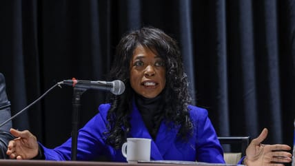 Florida A&M University presidential search mired in controversy over candidacy of Marva Johnson