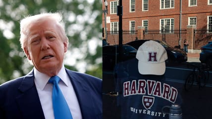 Black Democrats who attended Harvard and Candace Owens agree on one thing: Trump’s campus crackdown goes too far