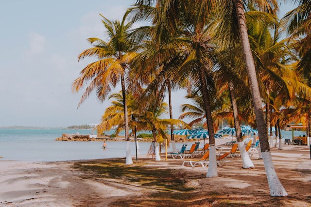 Guadeloupe, council, Caribbean