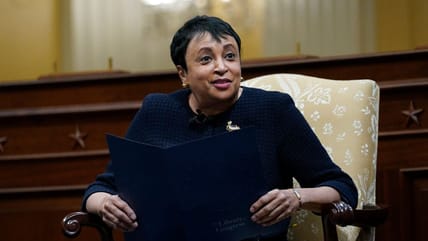 Carla Hayden, historic former Librarian of Congress, breaks silence after White House abruptly fired her