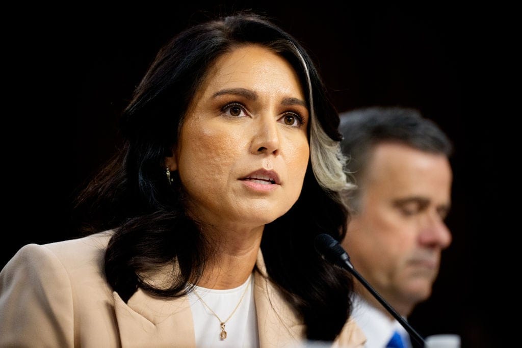 Tulsi Gabbard, theGrio.com