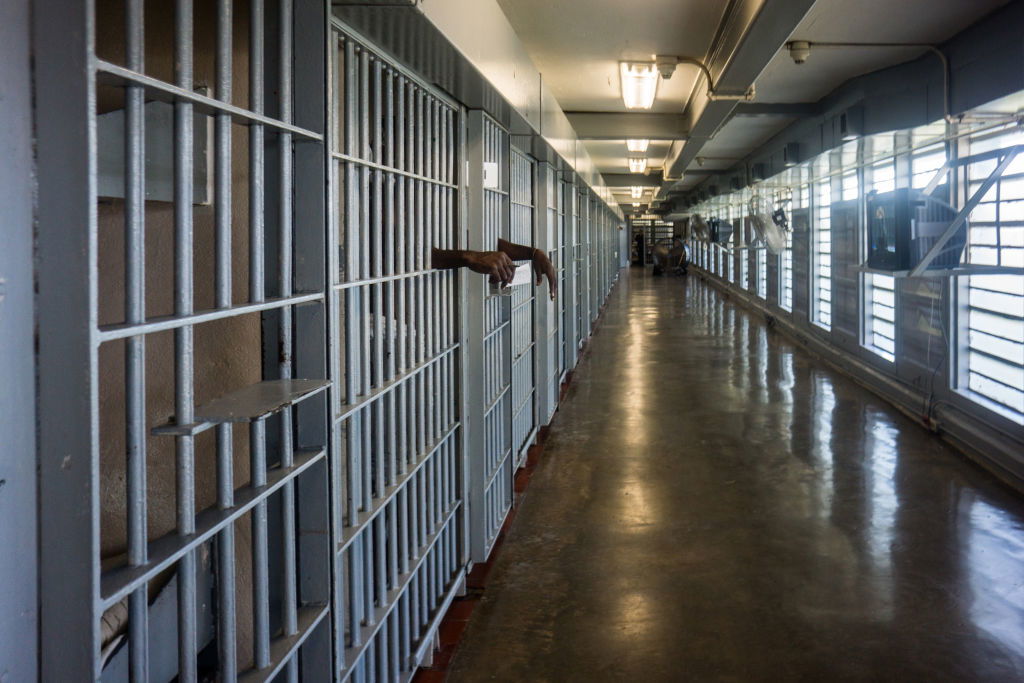Broward County, jail, gay inmate killed, Cierre Wood, Gwinnett county jail,, Riker's,, doulla, pregnant, inmates, Councilwoman, Rosenthal