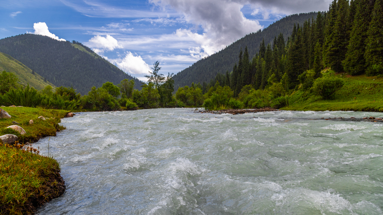 Scenic river flowing through mountains and forest in Kyrgyzstan