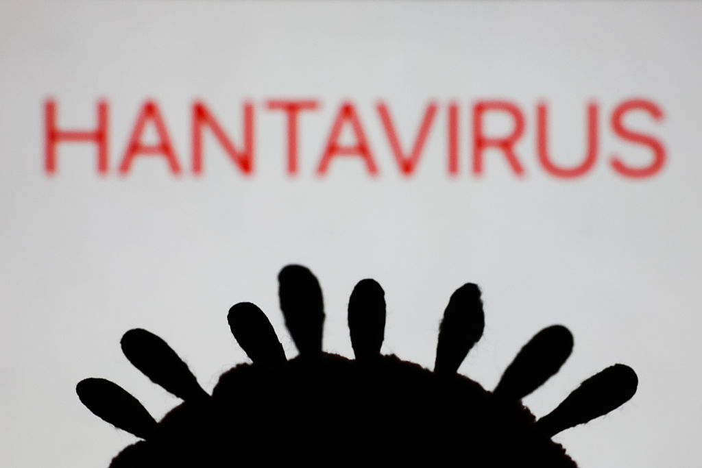 Hantavirus, how contagious is hantavirus?
