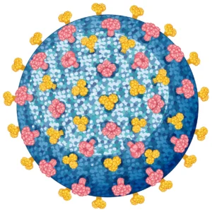 New York Measles, New York measles outbreak, measles.