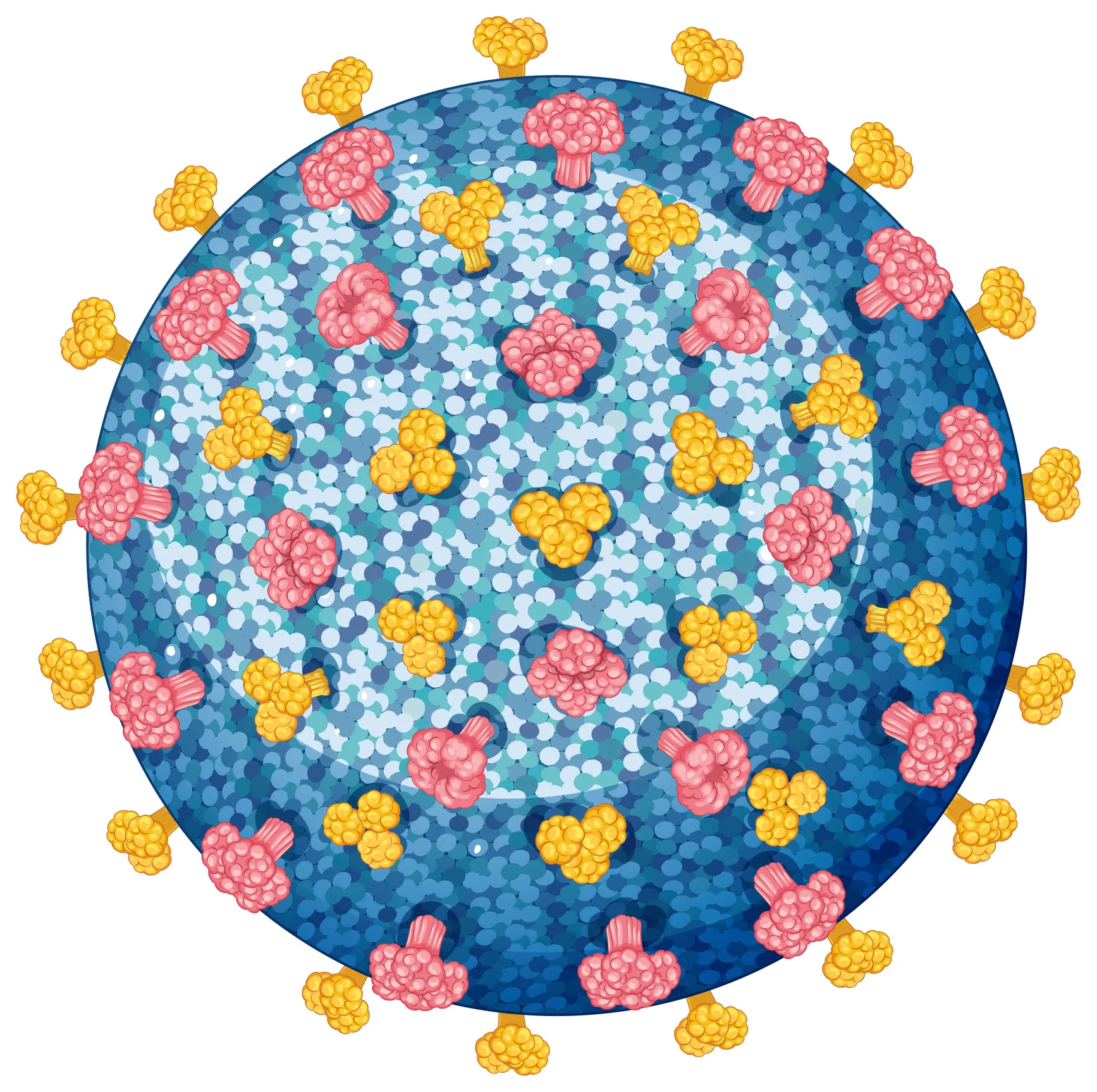 New York Measles, New York measles outbreak, measles.